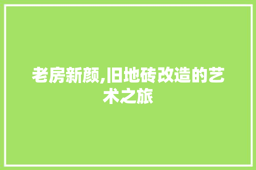 老房新颜,旧地砖改造的艺术之旅
