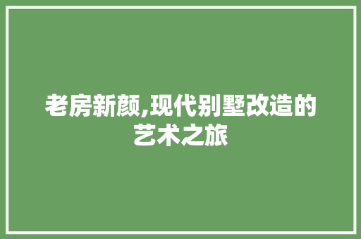 老房新颜,现代别墅改造的艺术之旅