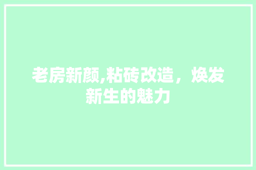 老房新颜,粘砖改造，焕发新生的魅力