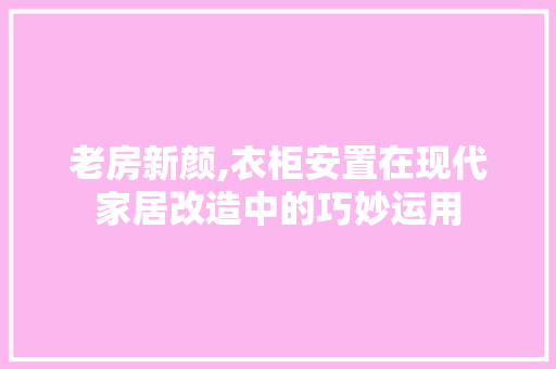 老房新颜,衣柜安置在现代家居改造中的巧妙运用