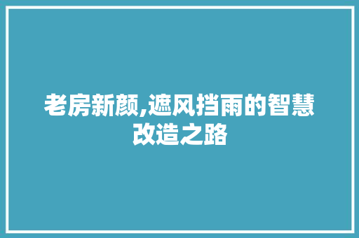 老房新颜,遮风挡雨的智慧改造之路