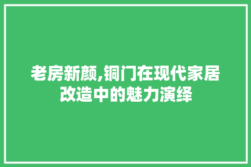 老房新颜,铜门在现代家居改造中的魅力演绎
