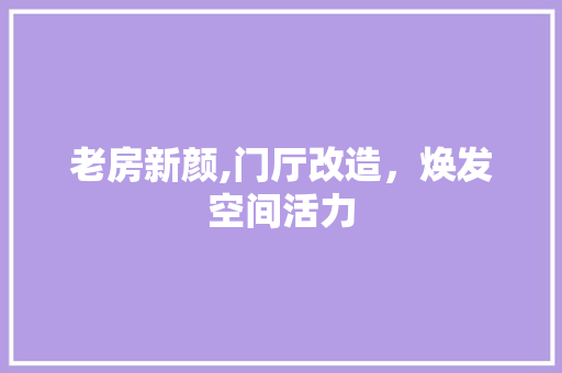 老房新颜,门厅改造，焕发空间活力 墙体维修