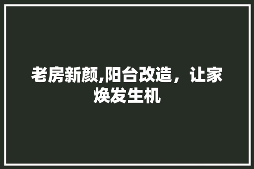 老房新颜,阳台改造，让家焕发生机