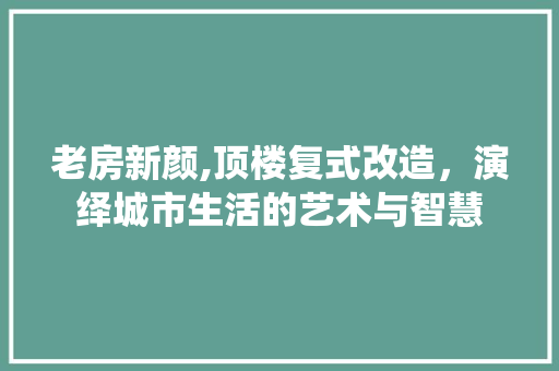 老房新颜,顶楼复式改造，演绎城市生活的艺术与智慧