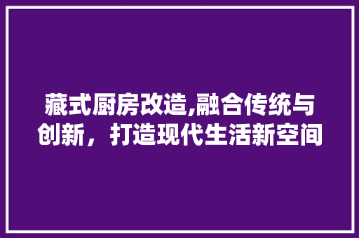 藏式厨房改造,融合传统与创新，打造现代生活新空间