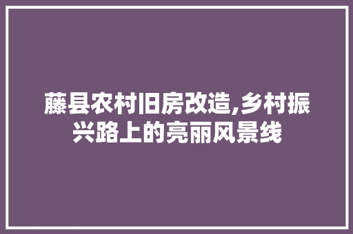 藤县农村旧房改造,乡村振兴路上的亮丽风景线