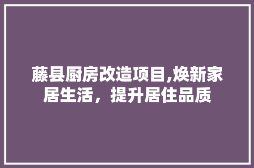 藤县厨房改造项目,焕新家居生活，提升居住品质