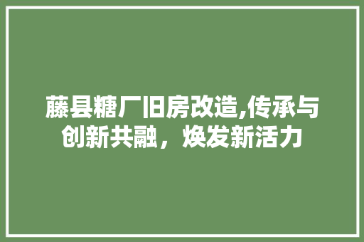 藤县糖厂旧房改造,传承与创新共融，焕发新活力
