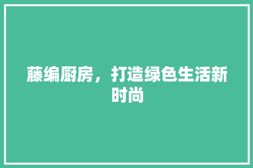 藤编厨房，打造绿色生活新时尚