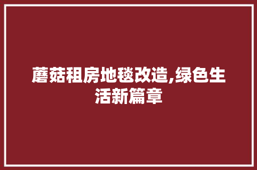 蘑菇租房地毯改造,绿色生活新篇章