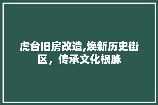 虎台旧房改造,焕新历史街区，传承文化根脉