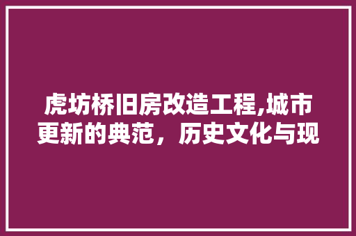 虎坊桥旧房改造工程,城市更新的典范，历史文化与现代生活的和谐共鸣