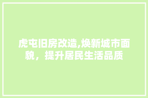 虎屯旧房改造,焕新城市面貌，提升居民生活品质