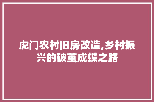 虎门农村旧房改造,乡村振兴的破茧成蝶之路