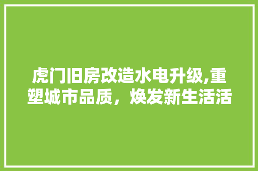 虎门旧房改造水电升级,重塑城市品质，焕发新生活活力