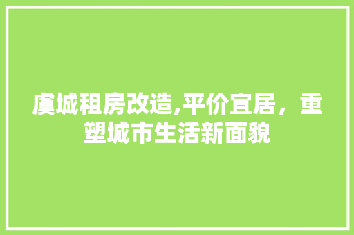 虞城租房改造,平价宜居，重塑城市生活新面貌