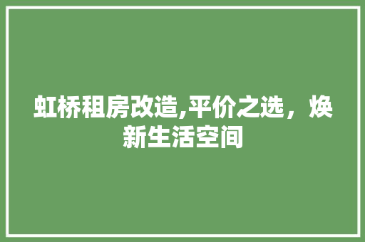 虹桥租房改造,平价之选，焕新生活空间