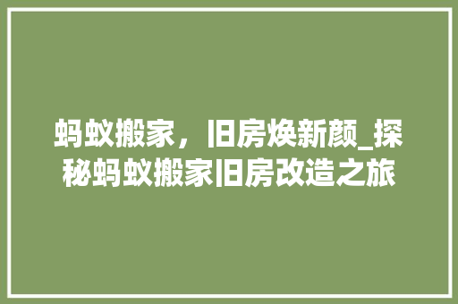蚂蚁搬家，旧房焕新颜_探秘蚂蚁搬家旧房改造之旅
