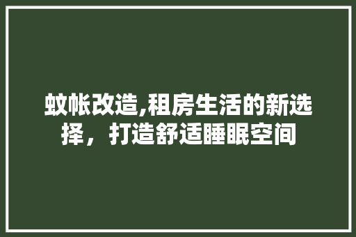 蚊帐改造,租房生活的新选择，打造舒适睡眠空间