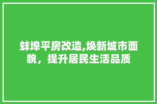 蚌埠平房改造,焕新城市面貌，提升居民生活品质