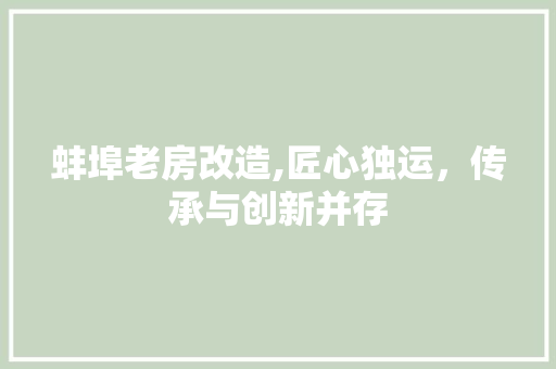 蚌埠老房改造,匠心独运，传承与创新并存