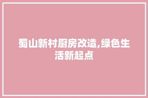 蜀山新村厨房改造,绿色生活新起点