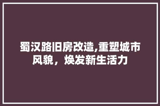 蜀汉路旧房改造,重塑城市风貌，焕发新生活力