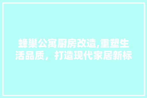 蜂巢公寓厨房改造,重塑生活品质，打造现代家居新标杆