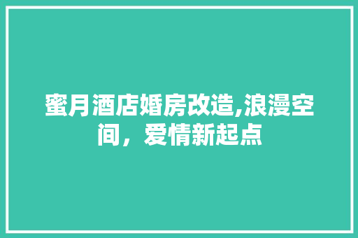 蜜月酒店婚房改造,浪漫空间，爱情新起点