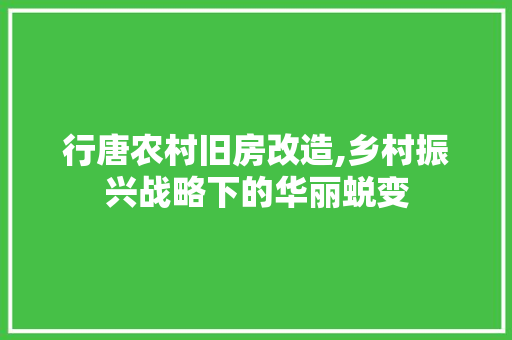 行唐农村旧房改造,乡村振兴战略下的华丽蜕变