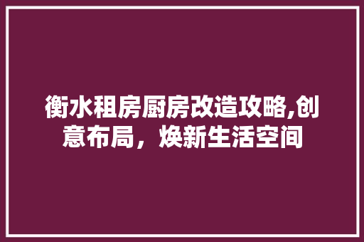 衡水租房厨房改造攻略,创意布局，焕新生活空间