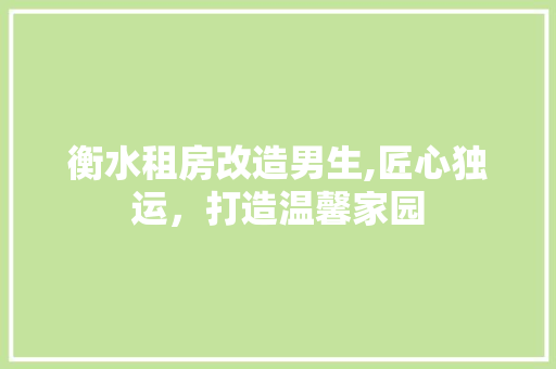 衡水租房改造男生,匠心独运，打造温馨家园
