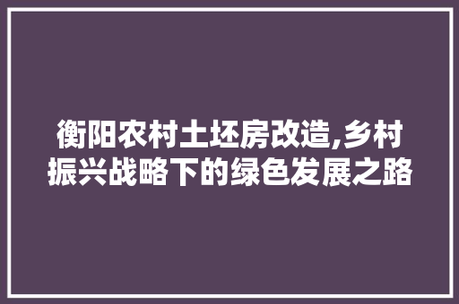 衡阳农村土坯房改造,乡村振兴战略下的绿色发展之路