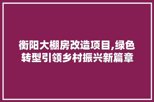 衡阳大棚房改造项目,绿色转型引领乡村振兴新篇章