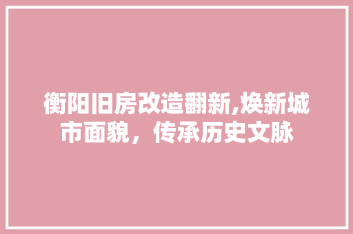 衡阳旧房改造翻新,焕新城市面貌，传承历史文脉
