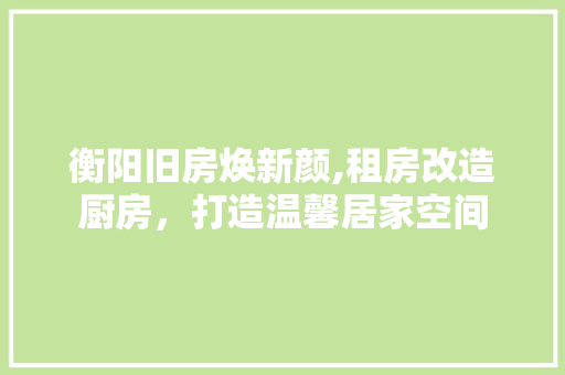 衡阳旧房焕新颜,租房改造厨房，打造温馨居家空间