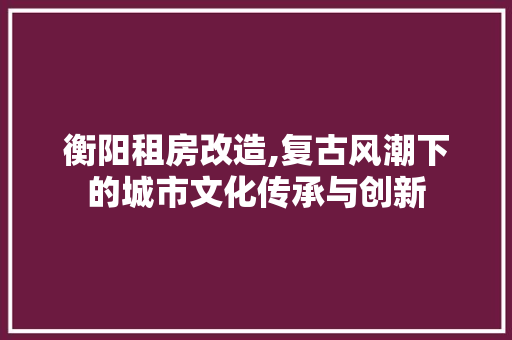 衡阳租房改造,复古风潮下的城市文化传承与创新