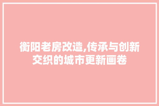 衡阳老房改造,传承与创新交织的城市更新画卷