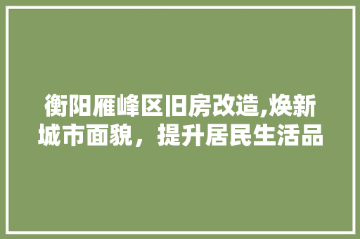 衡阳雁峰区旧房改造,焕新城市面貌，提升居民生活品质