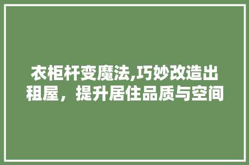 衣柜杆变魔法,巧妙改造出租屋，提升居住品质与空间利用率