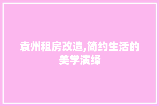 袁州租房改造,简约生活的美学演绎