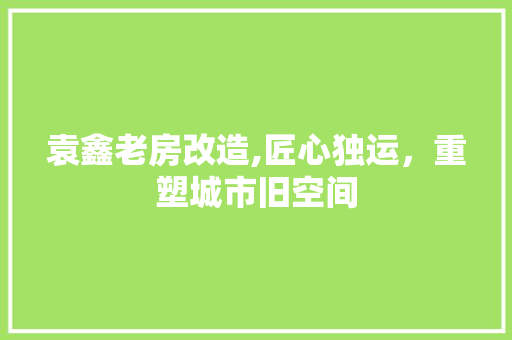 袁鑫老房改造,匠心独运，重塑城市旧空间