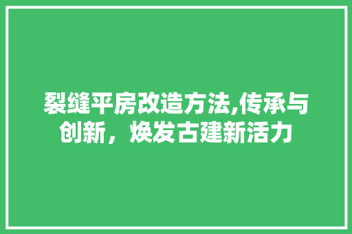裂缝平房改造方法,传承与创新，焕发古建新活力