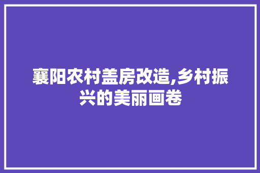 襄阳农村盖房改造,乡村振兴的美丽画卷