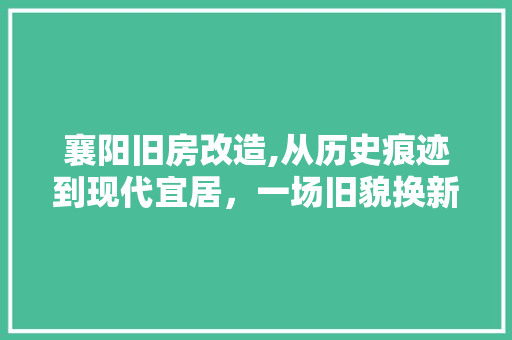 襄阳旧房改造,从历史痕迹到现代宜居，一场旧貌换新颜的蜕变之旅