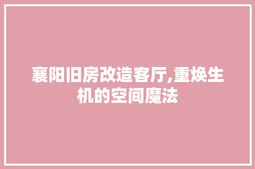 襄阳旧房改造客厅,重焕生机的空间魔法