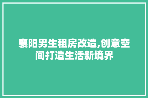 襄阳男生租房改造,创意空间打造生活新境界