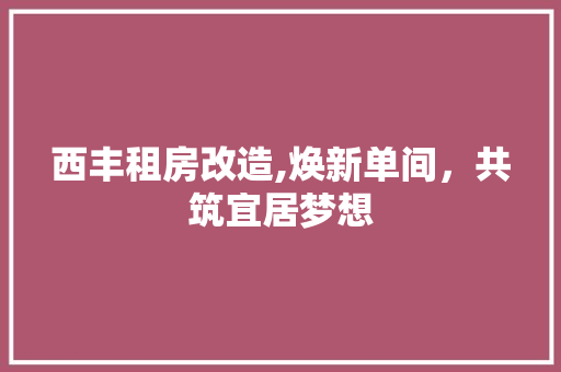 西丰租房改造,焕新单间，共筑宜居梦想 厨房维修