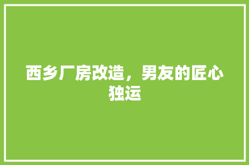 西乡厂房改造，男友的匠心独运